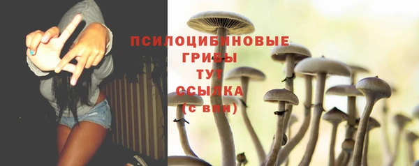 молекула духа Новокубанск