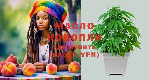 дживик Белая Холуница