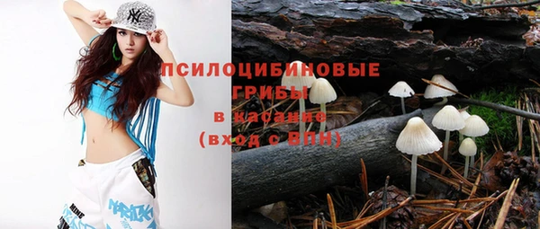 гидропоника Беслан