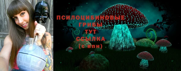 твердый Нея
