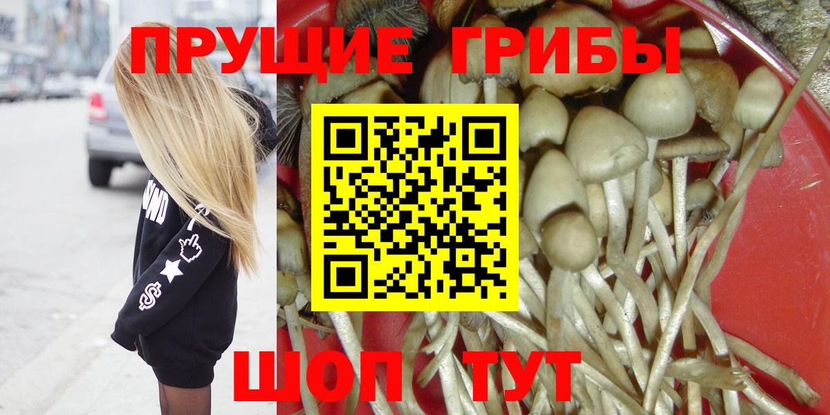 Псилоцибиновые грибы ЛСД Родники