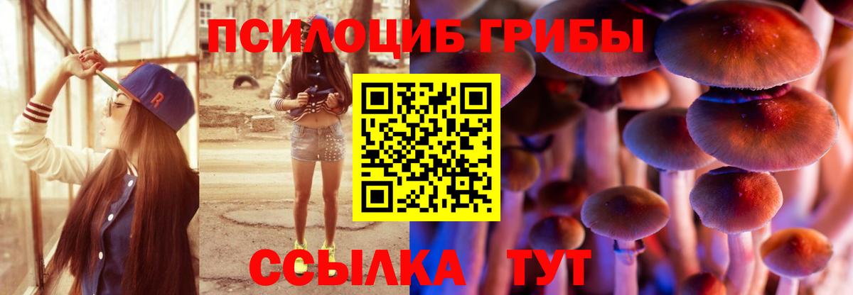 Псилоцибиновые грибы мицелий  Псилоцибиновые грибы Cubensis  Вход с VPN  Родники 